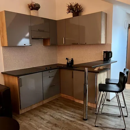 דירה Centrum Culture Rent קושיצה